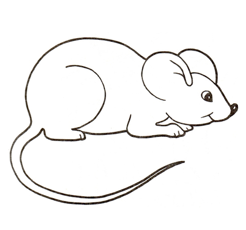 Cute House Mouse Coloring Page